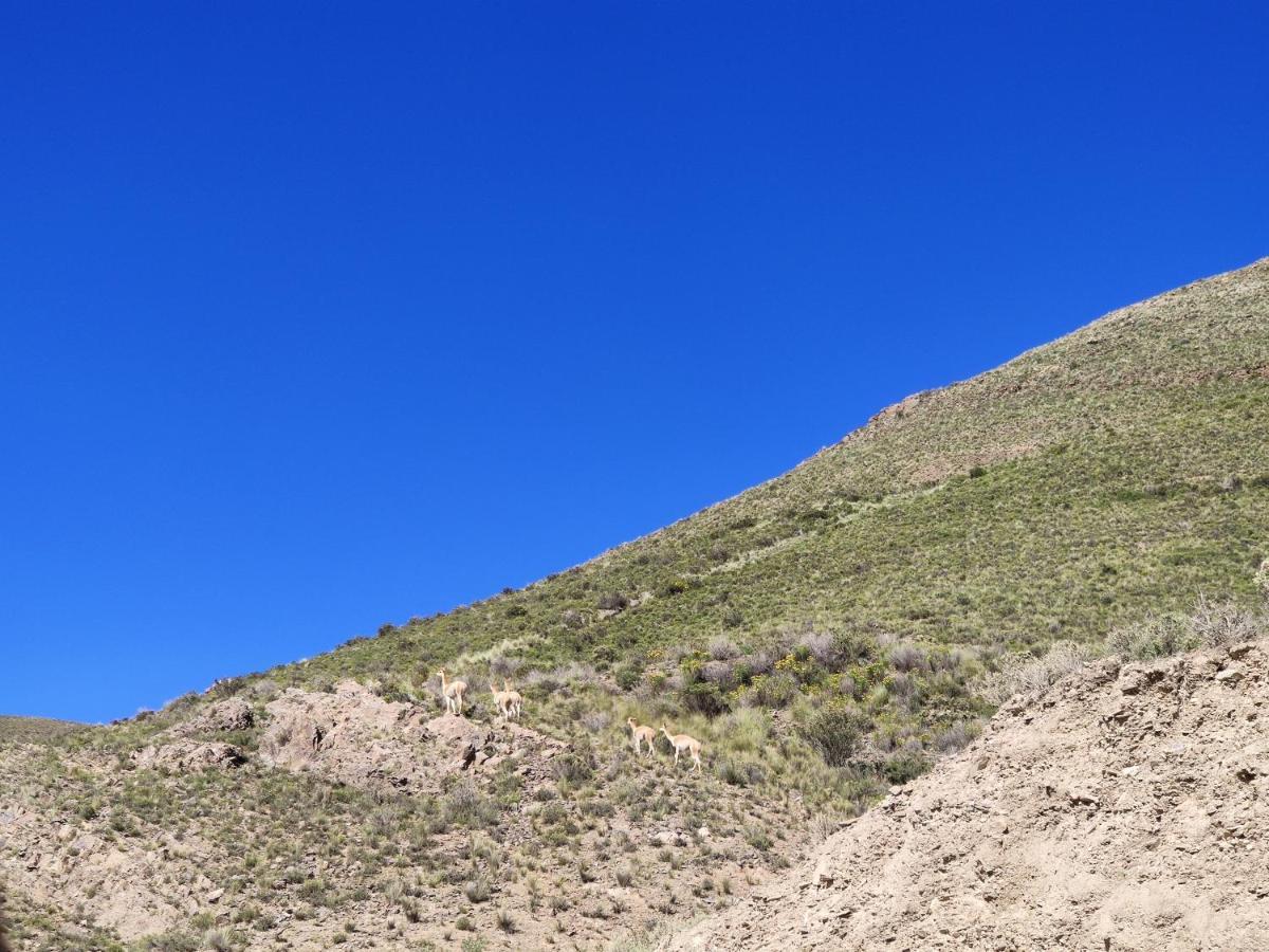 Cabanas Otro Mundo - Finca Otro Mundo Maimará Dış mekan fotoğraf